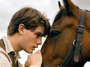 War Horse