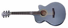 Fender Celtic