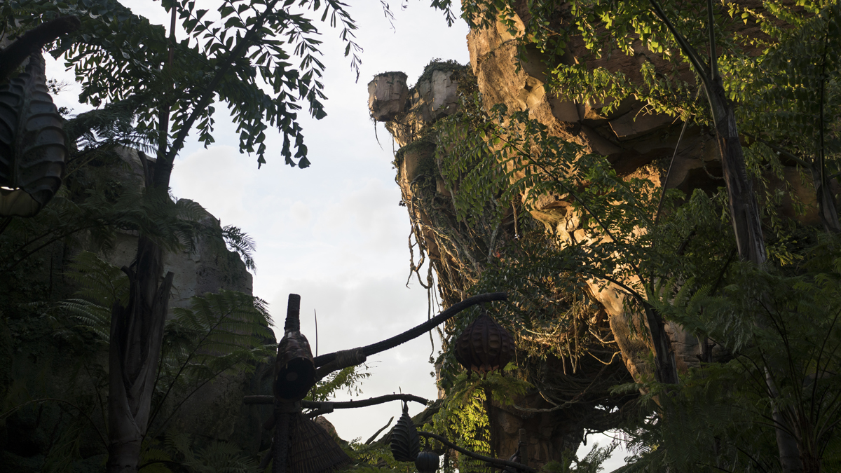 Pandora