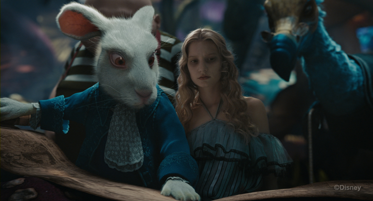 Alice and Rabbit