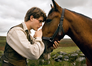 War Horse