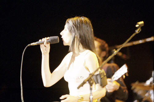 PJ Harvey