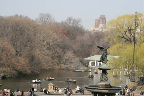 Central Park