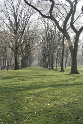 Central Park