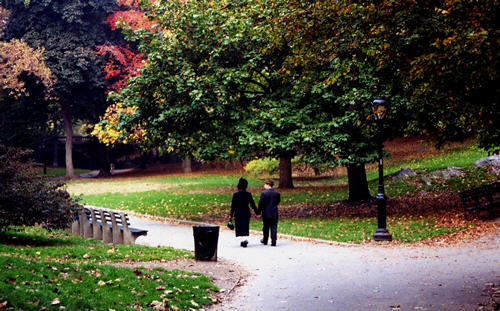 A walk in Central Park