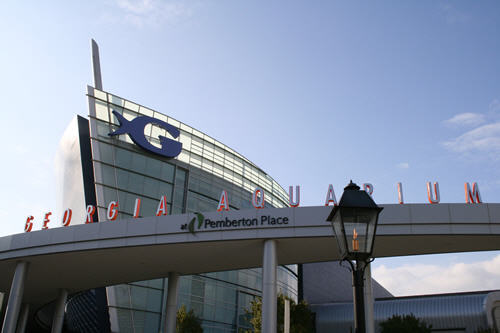 The Georgia Aquarium<br>It's the world's largest.