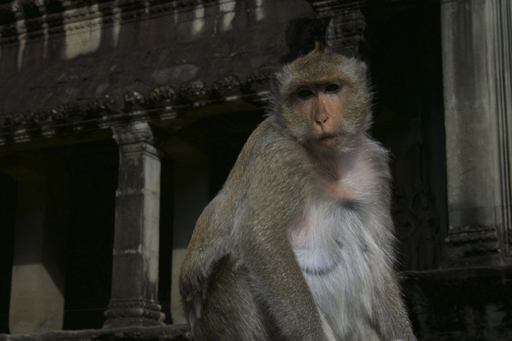 Angkor Wat Angkor Wat