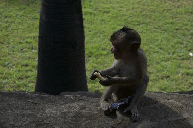 Angkor Wat Angkor Wat