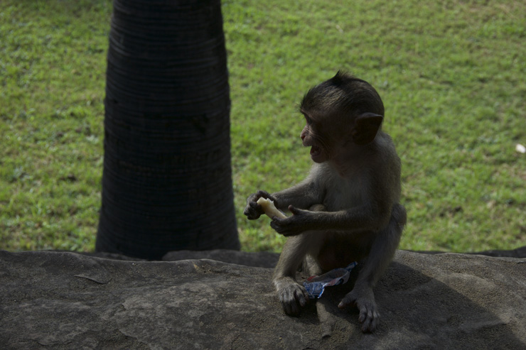 Angkor Wat