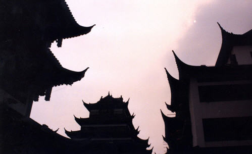 Rooftops of Shanghai