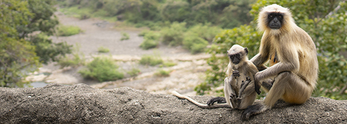 Ajanta, India