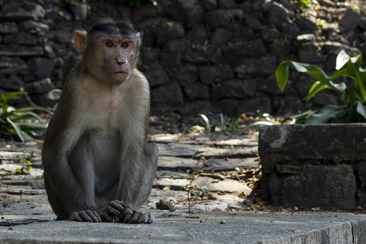 Elephanta Island, India