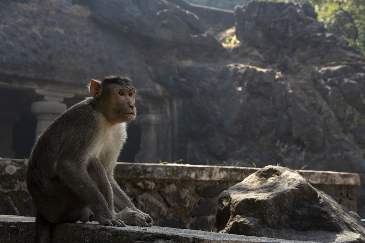 Elephanta Island, India