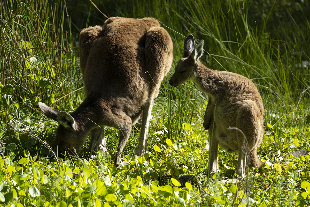 Perth, Australia