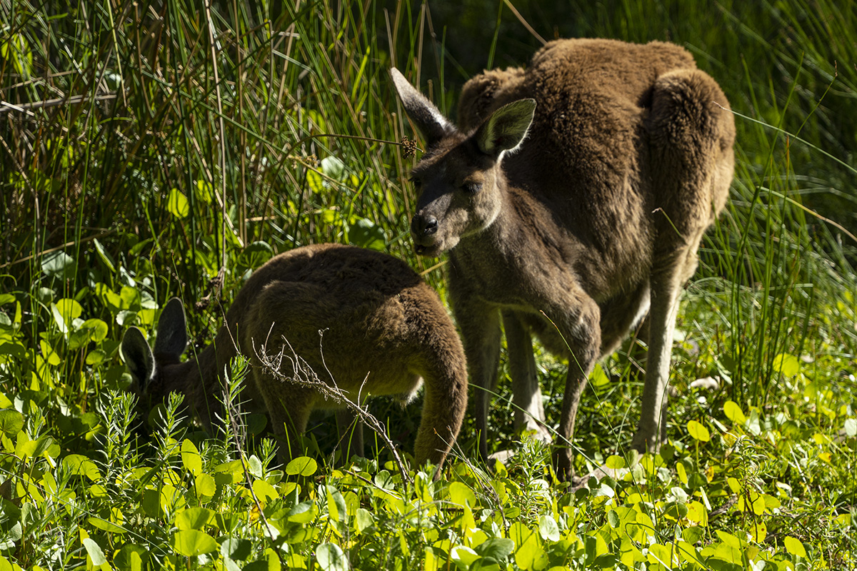 Perth, Australia