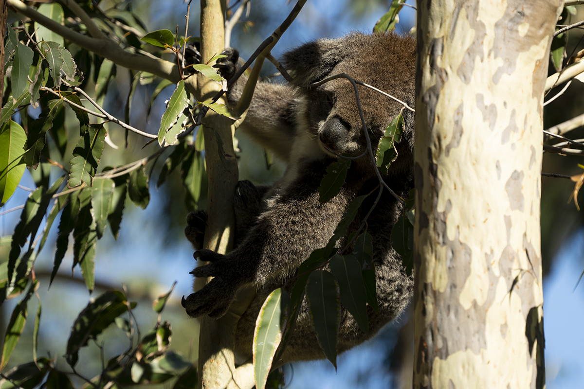 Perth, Australia