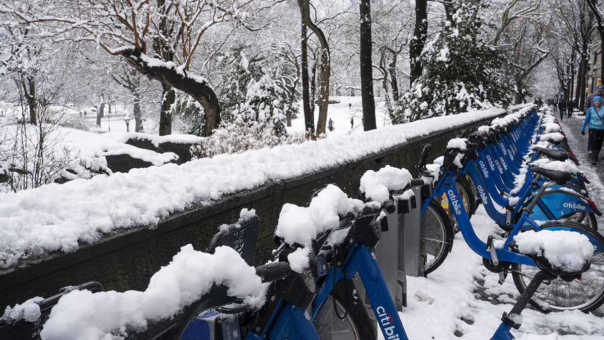 CitiBikes