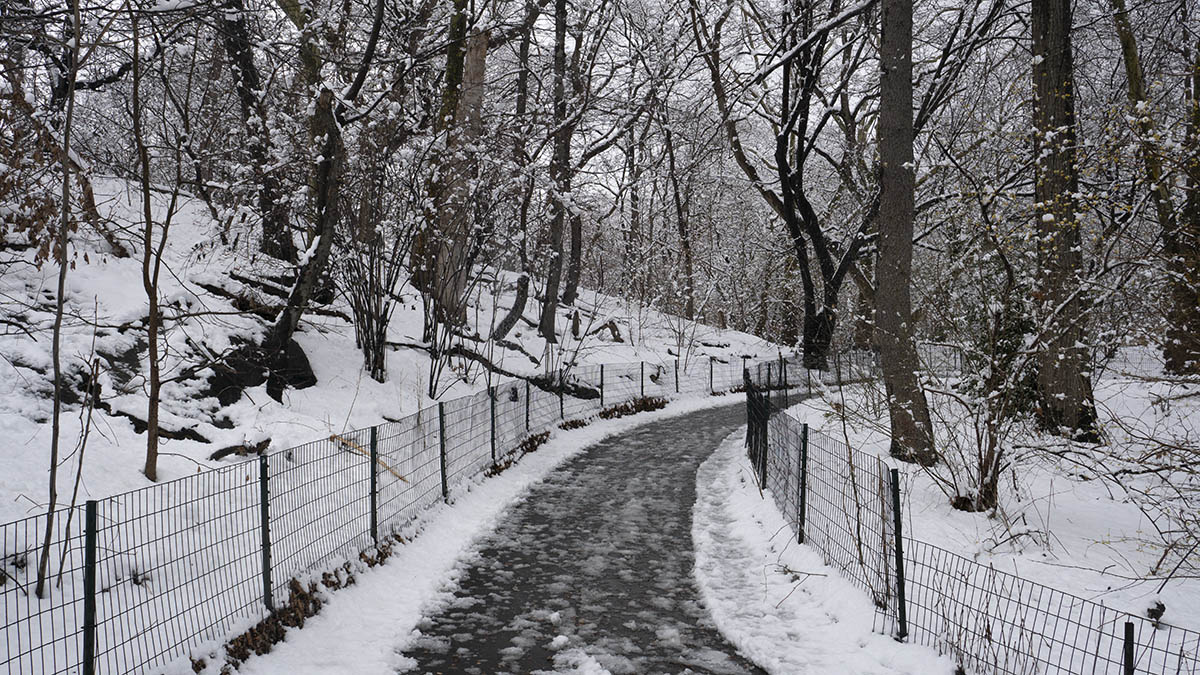 A slippery path