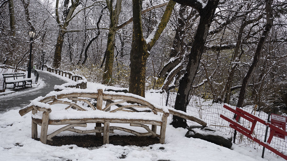 Snow-covered bench