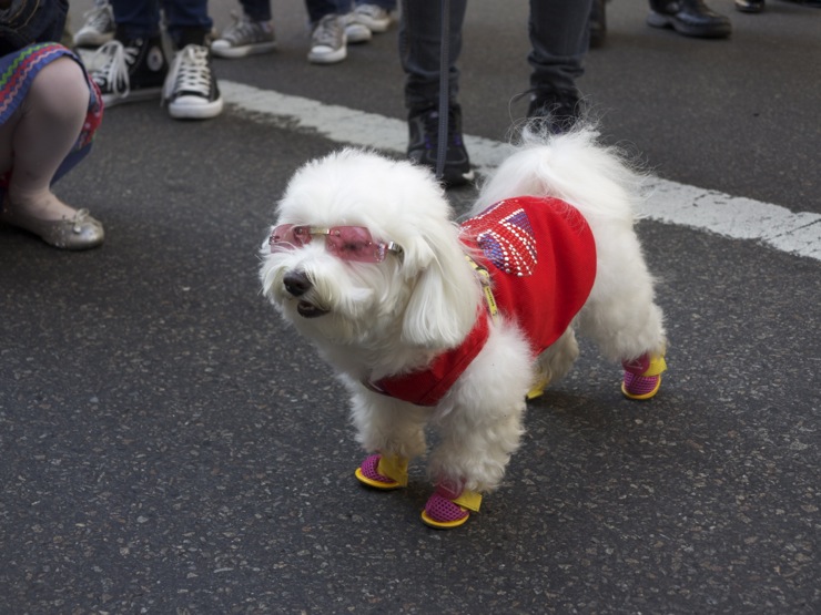 The Easter Parade