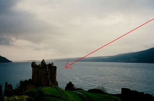 Nessie; follow the red arrow to photographic proof of her existence