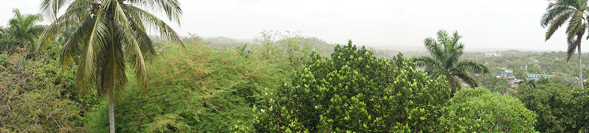 Hemingway's home, Finca Vigia: View of Havana