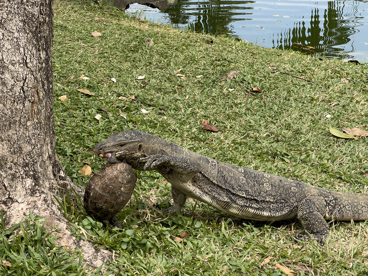 Bangkok