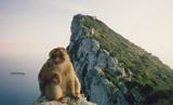 Gibraltar/Morocco