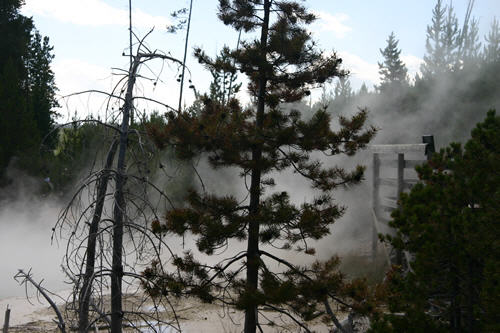 Eeriness in Yellowstone