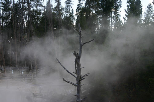 Eeriness in Yellowstone