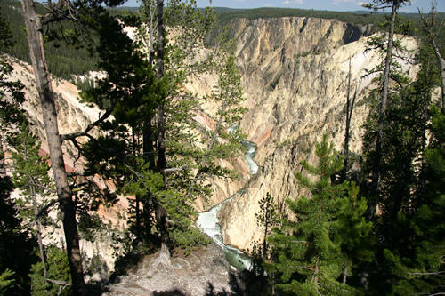 In Yellowstone