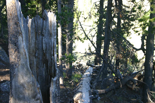 In Yellowstone