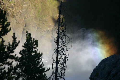 In Yellowstone