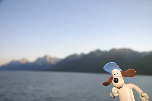 Gromit.<br>Is he pondering the grandness of the Tetons or his jump across Snake River?
