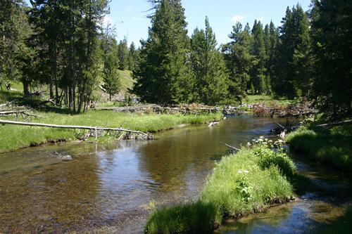 In Yellowstone